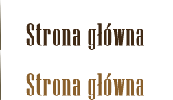 Strona główna