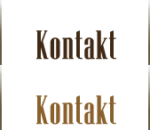 Kontakt